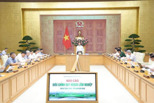 Điều chỉnh Quy hoạch lâm nghiệp phải bảo đảm sinh kế cho người dân giữ rừng