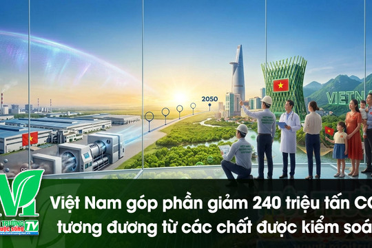 [VIDEO] Việt Nam giảm phát thải 240 triệu tấn CO2 tương đương