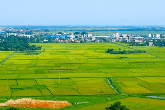 Bộ Tài chính triển khai kế hoạch thực hiện Nghị quyết về sửa đổi Luật Đất đai