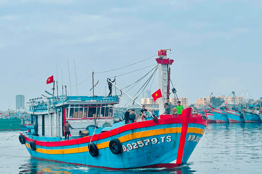 World Bank phê duyệt 3 dự án hỗ trợ Việt Nam thích ứng biến đổi khí hậu