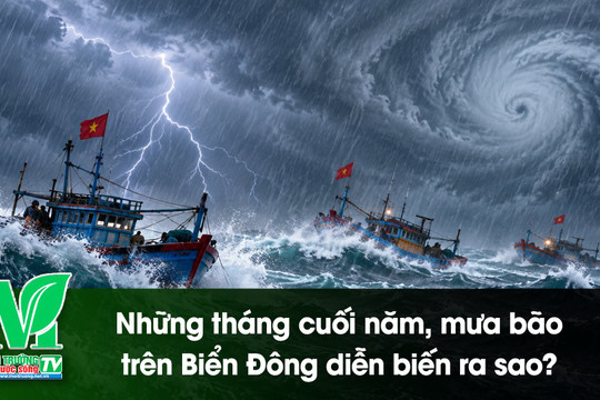 [VIDEO] Những tháng cuối năm, mưa bão trên Biển Đông diễn biến ra sao?