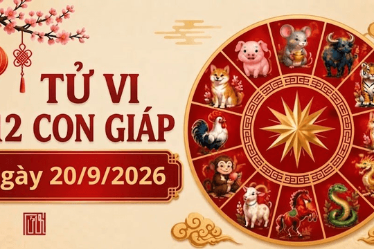 Xem tử vi hôm nay, tử vi 12 con giáp ngày 20/9/2026: Tuổi Thìn, tuổi Dậu nhiều cơ hội thăng tiến; Tuổi Thân tránh vội vàng trong đầu tư