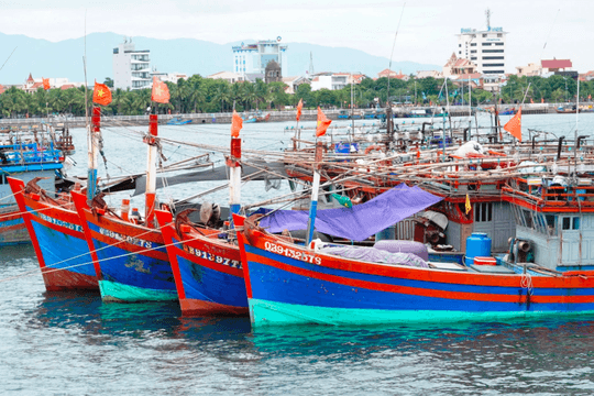 Bộ Nông nghiệp và Môi trường thúc các địa phương tăng tỷ lệ tàu cá tham gia eCDT