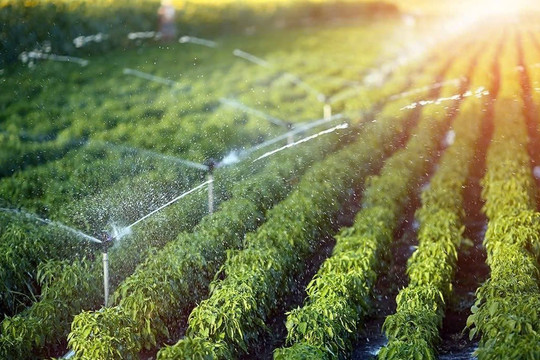 Công nghệ xanh mở đường nâng giá trị đặc sản vùng cao