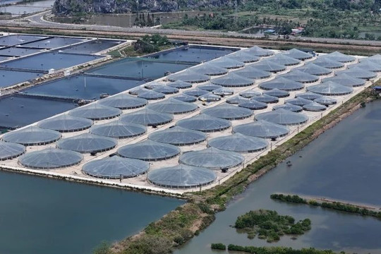 World Bank phê duyệt gần 667 triệu USD cho hạ tầng và thủy sản thích ứng khí hậu