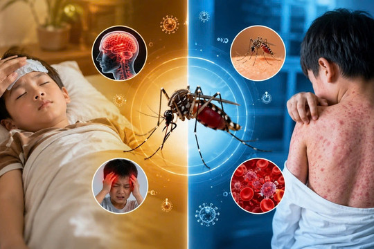 Mùa tựu trường, chủ động phòng viêm não Nhật Bản