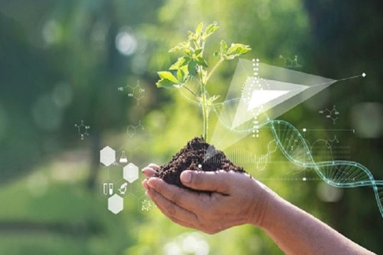 Mục tiêu bảo vệ 30% thiên nhiên vào năm 2030 đứng trước nguy cơ chậm tiến độ