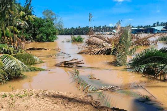 Vĩnh Long chủ động ứng phó thiên tai, bảo vệ người dân