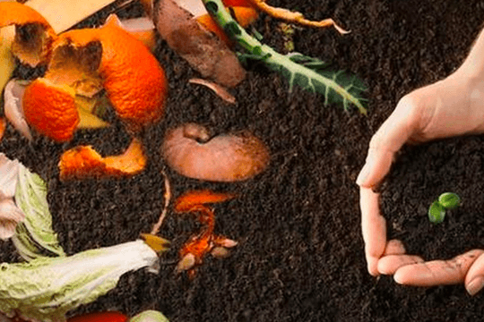 Lạng Sơn đẩy mạnh giảm lãng phí thực phẩm, giảm phát sinh chất thải