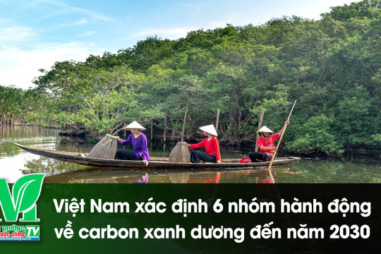 [VIDEO] Việt Nam xác định 6 nhóm hành động về carbon xanh dương đến năm 2030