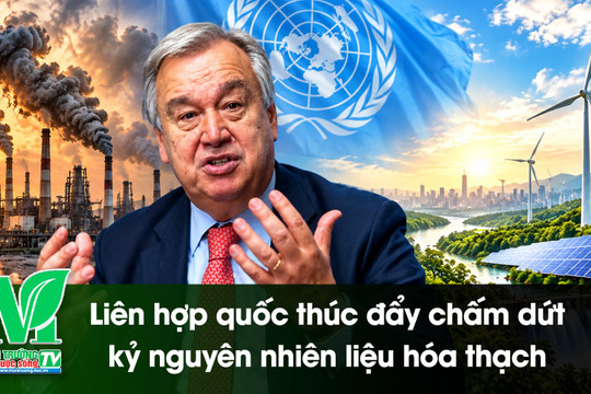 [VIDEO] Liên hợp quốc thúc đẩy chấm dứt kỷ nguyên nhiên liệu hóa thạch