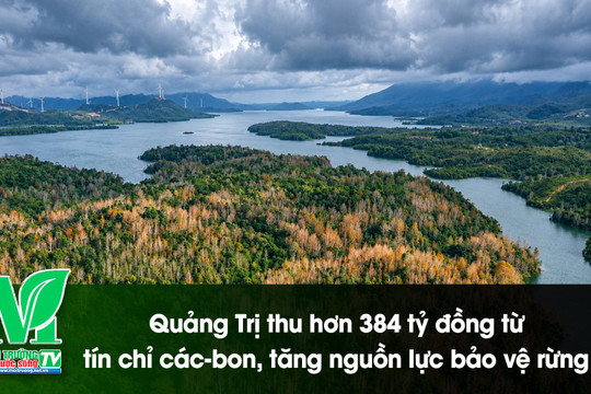 [VIDEO] Quảng Trị thu hơn 384 tỷ đồng từ tín chỉ các-bon, tăng nguồn lực bảo vệ rừng