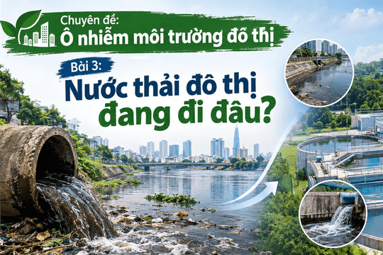 Bài 3: Nước thải đô thị đang đi đâu?