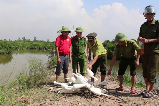 Nghệ An tháo dỡ hơn 29.000m lưới bẫy chim hoang dã