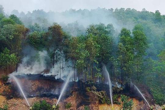 Bắc Ninh: 27 xã, phường đối mặt nguy cơ cháy rừng cấp IV