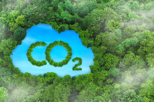 Sau khai thác khoáng sản: Làm gì để rừng trở lại và carbon thành giá trị mới?