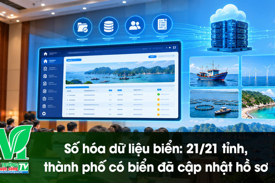 [VIDEO] Số hóa dữ liệu biển: 21/21 tỉnh, thành phố có biển đã cập nhật hồ sơ