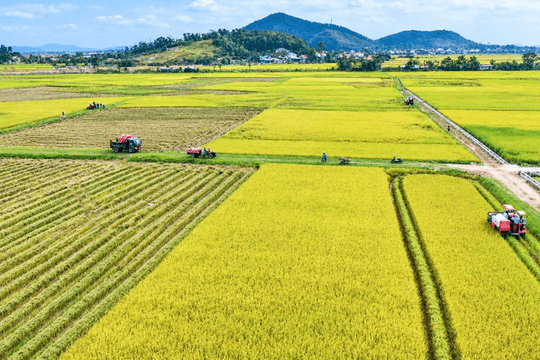 Hà Tĩnh đẩy mạnh nông nghiệp xanh, giảm phát thải