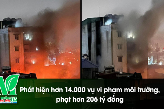 [VIDEO] Phát hiện hơn 14.000 vụ vi phạm môi trường, phạt hơn 206 tỷ đồng