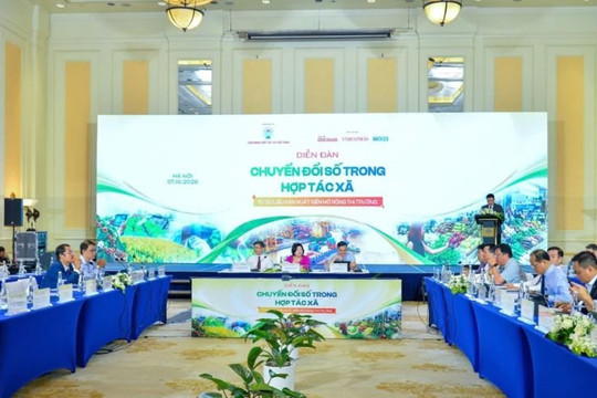 Chuyển đổi số đưa dữ liệu thành động lực mở rộng thị trường cho hợp tác xã