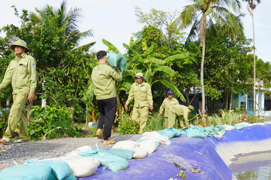 TP.HCM dự kiến thu gần 400 tỷ đồng Quỹ Phòng, chống thiên tai