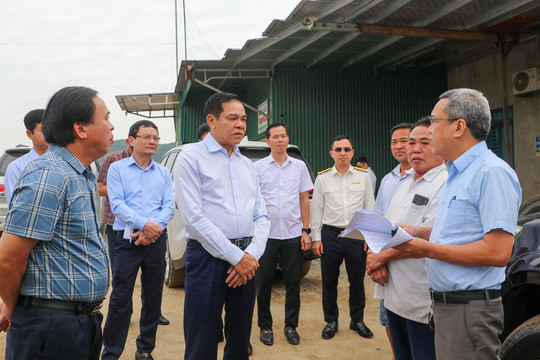 Nghệ An: Tạm dừng 9 mỏ, bến khai thác cát chưa đáp ứng yêu cầu giám sát