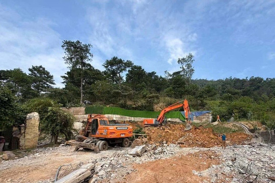 Hà Nội siết xử lý vi phạm đất đai, bảo vệ đất nông nghiệp và đất rừng