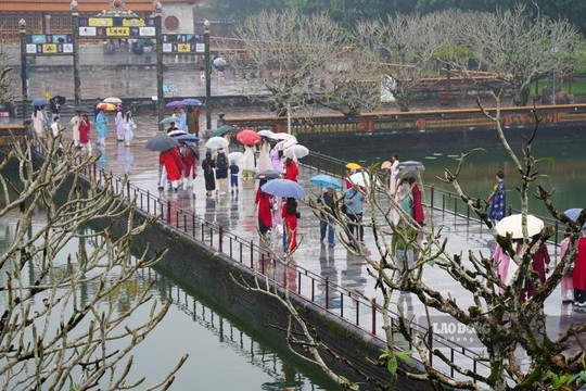 Mưa lớn tiếp diễn ở Trung Bộ, Huế và Đà Nẵng giảm mưa từ ngày 9/10