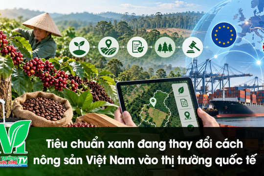 [VIDEO] Tiêu chuẩn xanh đang thay đổi cách nông sản Việt Nam vào thị trường quốc tế