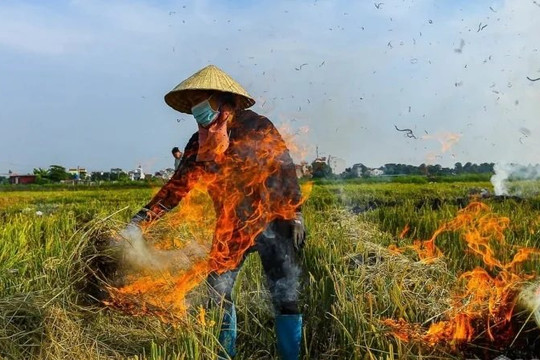 Hà Nội tăng cường kiểm soát, xử lý nghiêm tình trạng đốt rơm rạ