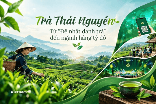 Thái Nguyên kết nối văn hóa trà với động lực phát triển kinh tế địa phương