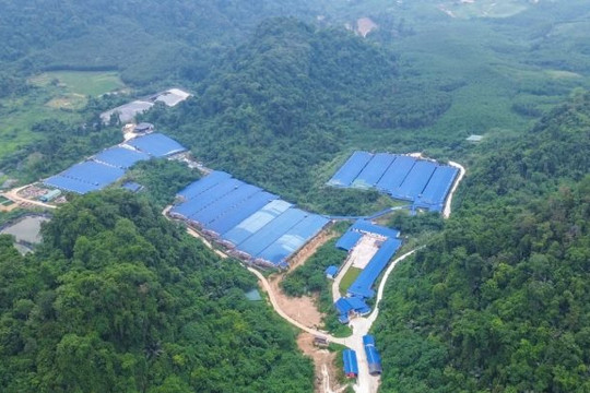 Thanh Hóa: Phạt 445 triệu đồng các trang trại nuôi lợn vi phạm môi trường