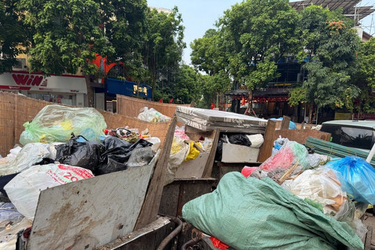 Vỏ chai, thức ăn thừa, giấy vụn và ruồi nhặng… bên trong những chiếc xe rác