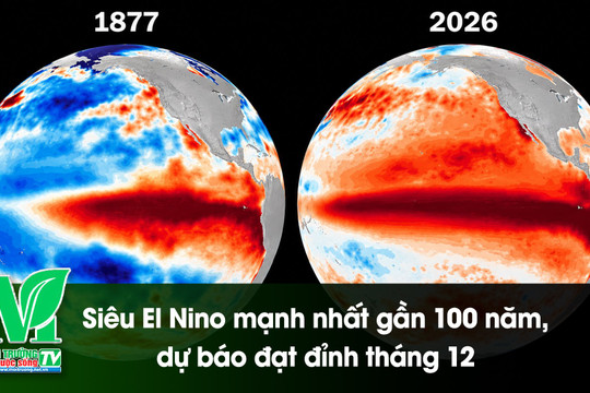[VIDEO] Siêu El Niño mạnh nhất gần 100 năm, dự báo đạt đỉnh tháng 12