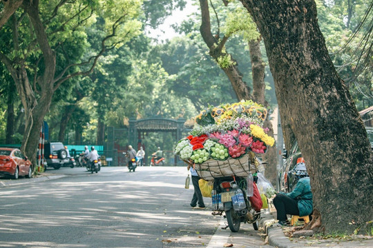 Dự báo thời tiết Hà Nội ngày 12/10/2026: Ngày nắng, đêm không mưa