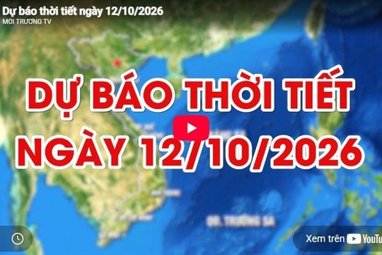 Dự báo thời tiết ngày 12/10/2026: Ngày nắng, đêm không mưa