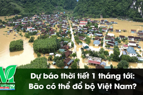 [VIDEO] Dự báo thời tiết 1 tháng tới: Bão có thể đổ bộ Việt Nam?