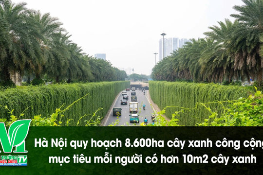 [VIDEO] Hà Nội quy hoạch 8.600ha cây xanh công cộng, mục tiêu mỗi người có hơn 10m2 cây xanh