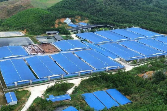 Thanh Hóa xử phạt hơn 663 triệu đồng các trang trại lợn vi phạm môi trường