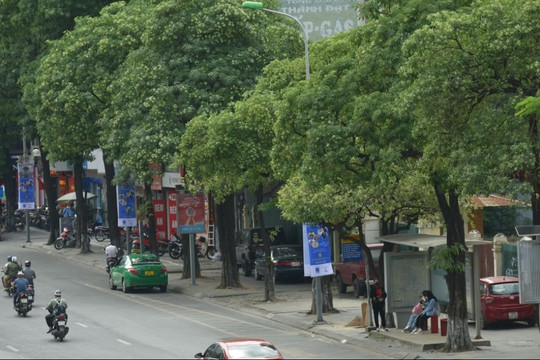 Dự báo thời tiết Hà Nội ngày 16/10/2026: Sáng sớm có sương mù, ngày nắng