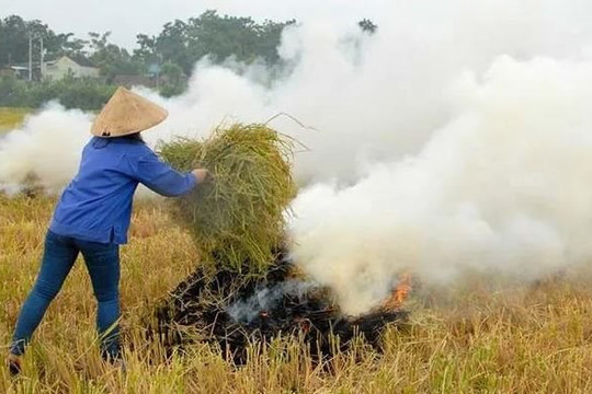 Hà Nội yêu cầu xã, phường chịu trách nhiệm về tình trạng đốt rơm rạ