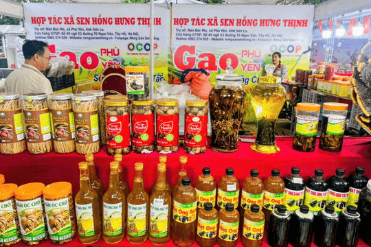 Hải Phòng kết nối nông sản OCOP, thúc đẩy nông nghiệp xanh