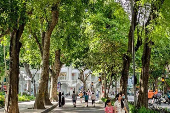 Dự báo thời tiết Hà Nội ngày 17/10/2026: Đêm không mưa, ngày nắng, gió nhẹ