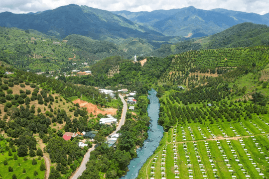 Khánh Hòa thúc đẩy kinh tế tập thể, mở rộng chuỗi giá trị nông nghiệp xanh