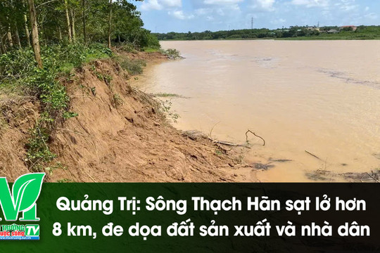 [VIDEO] Quảng Trị: Sông Thạch Hãn sạt lở hơn 8 km, đe dọa đất sản xuất và nhà dân