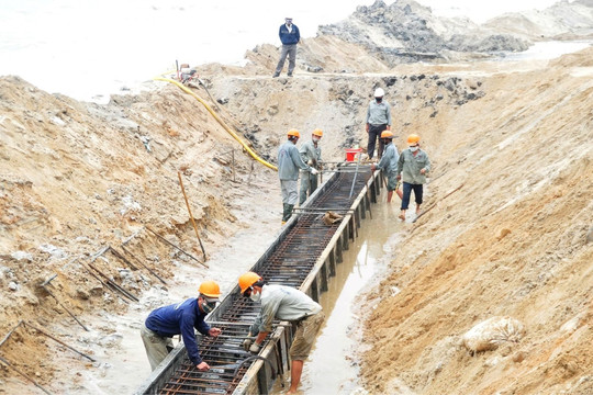 TP.HCM triển khai kế hoạch ứng phó biến đổi khí hậu đến năm 2030, tầm nhìn 2050
