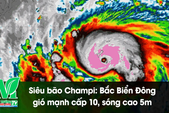 [VIDEO] Siêu bão Champi: Bắc Biển Đông gió mạnh cấp 10, sóng cao 5m