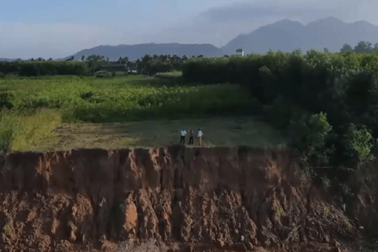 Quảng Ngãi: Sạt lở hơn 1.000m bờ sông Trà Khúc, cấp thiết bảo vệ đất và sinh kế cho người dân