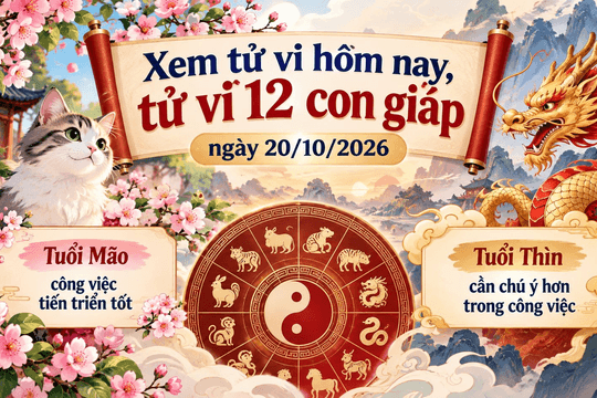 Xem tử vi hôm nay, tử vi 12 con giáp ngày 20/10/2026: Tuổi Mão công việc tiến triển tốt, tuổi Thìn cần chú ý hơn trong công việc