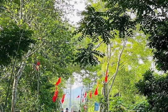 Nghệ An: 5 cộng đồng dân cư xã Châu Khê được hưởng lợi từ nguồn chi trả giảm phát thải